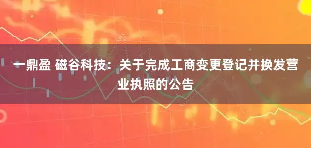 一鼎盈 磁谷科技：关于完成工商变更登记并换发营业执照的公告