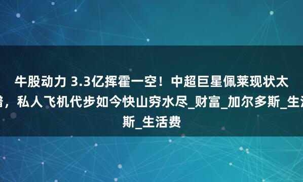 牛股动力 3.3亿挥霍一空！中超巨星佩莱现状太离谱，私人飞机代步如今快山穷水尽_财富_加尔多斯_生活费