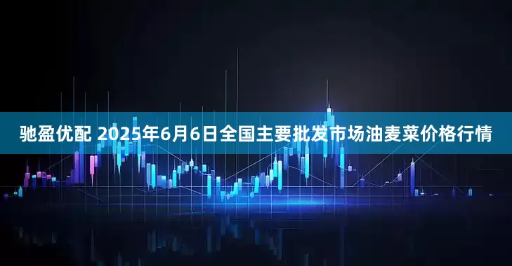 驰盈优配 2025年6月6日全国主要批发市场油麦菜价格行情