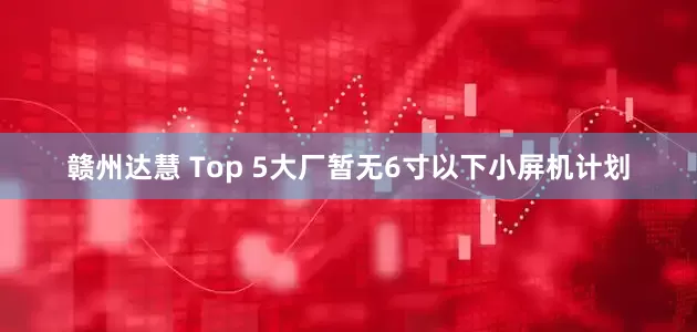 赣州达慧 Top 5大厂暂无6寸以下小屏机计划